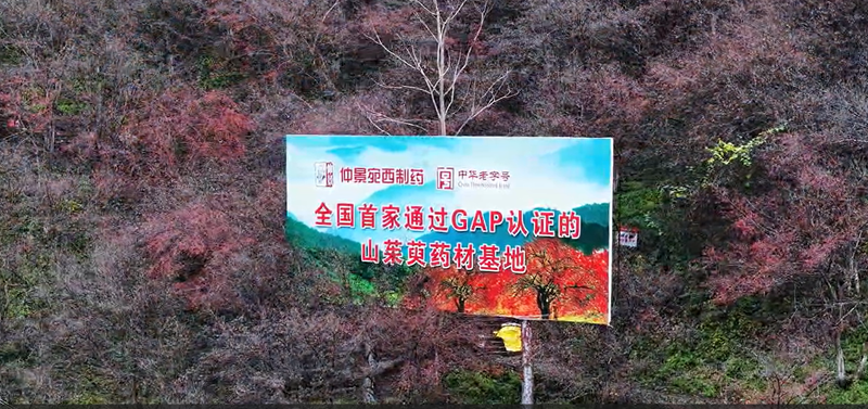 圖片9.png