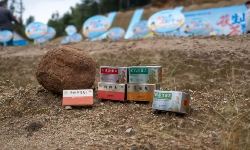 仲景采摘季I一味好藥始于土地，在古法炮制與現(xiàn)代科技中蛻變